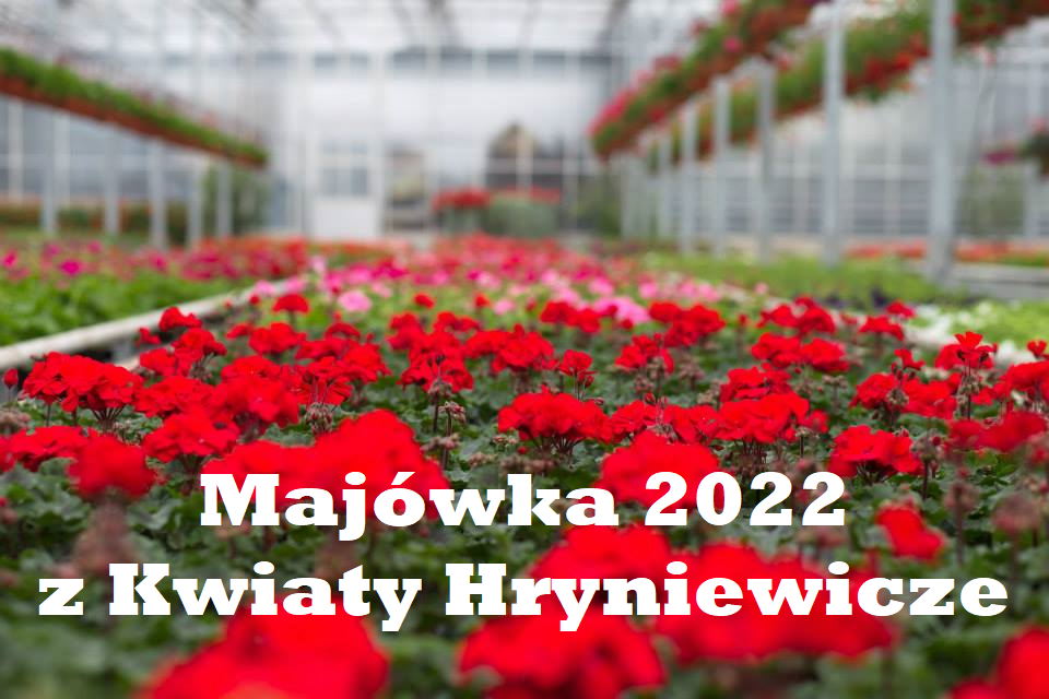 Wielka Majówka 2022 z Kwiaty Hryniewicze